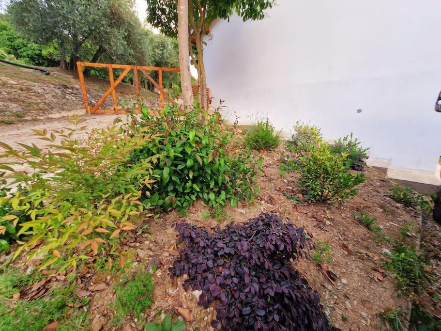 Appartamento Ombra Pontassieve Kültér fotó